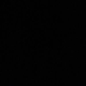 Meet your Posher, Rickie